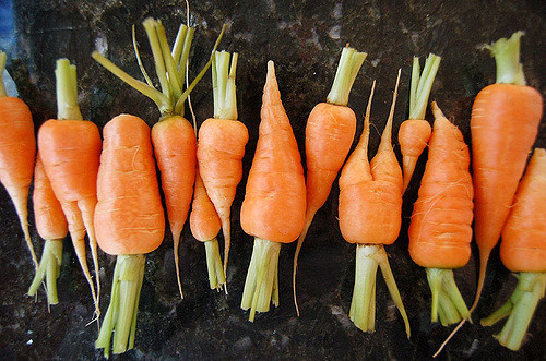 Carrots by ILoveButter